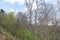 Path under the chairlift in the mountain forest in early spring