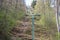 Path under the chairlift in the mountain forest in early spring