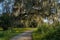Path under old oak tree draped with green spanish moss in Circle B Bar Reserve, Florida