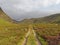 The Path up Glen Lethnot with clumps of Flowering Heather beside the Track