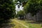 Path in verdant summer green outside enclosure