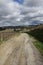 Path in Vines , Occitanie in south of France