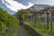 Path with vineyard in spring color morning in Bellinzona town