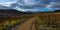 Path through the vineyards in Alsace