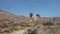 Path through the volcanic mineral landscape and endemic vegetation surrounding Teide National Park towards Roque de Garcia