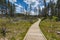 Path way in geyser area, in Yellowstone National park,Wyoming,usa