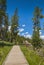 Path way in geyser area, in Yellowstone National park,Wyoming,usa