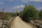 Path where the pilgrims walk in the Camino de Santiago Way of Saint James, Leon, Spain.