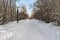 A path with white snow and a group of black and white street lighting lanterns among trees and shrubs without foliage in winter