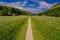 Path through the wild flower meadows, Swaledale