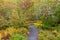 Path through the `Wild Gardens of Acadia` in autumn