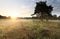 Path on wild meadows at sunrise