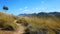 Path in the wild mountain in nature under a clear sky