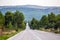 The path through the Wild Pine Forest in Croatia