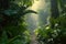 A path winds through a dense, vibrant tropical forest, illuminated by the soft glow of early morning light, creating a lush and