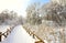 Path in the winter park, reeds and branches in the snow,