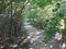 A Path through the Wooded Nature in Sertoma Park, Sioux Falls