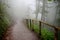 Path with wooden fence that goes through a foggy dark misterious forest