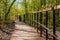 A path of wooden flooring with railings to the beach through the reserve in Kronstadt.