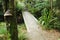 A path and wooden foot-bridge in a rain forest.