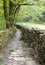 A path in the woods, Parco Marmitte dei Giganti