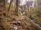 Path in woods by small beck