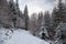 Path in the woods in winter, Transylvania, Romania