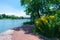 Path with Yellow Flowers at the Humboldt Park Lagoon