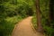 Path in Zelenci Nature Reserve, Slovenia