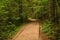 Path in Zelenci Nature Reserve, Slovenia