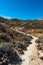 Paths around of the Teide mountain, Tenerife