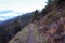 Paths lost along the paths of the Apuan Alps in Tuscany. Gothic line dating back to the World War. forgotten and abandoned places