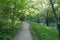 Paths among the trees in the Botanical garden of Moscow on the river Bank.