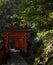 A pathwalk in a forest lined with orange Torii gates at Fushimi Inari Shrine in Kyoto in Japan