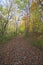 Pathway along sand lake in the fall