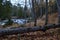 The Pathway along Waterfalls on the Ontonagon River in Autumn