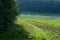 A pathway alongside an agricultural field in swabian alb