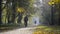 Pathway in the autumn park