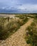 Pathway by beach