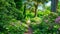 Pathway in Beautiful Green Park Leading Through Natures Oasis, A grand cypress walkway in a vibrant park during summer