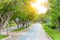 Pathway and beautiful trees track for running or walking and cycling relax in the park on green grass field. Alley with dense