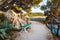 Pathway, bench and sea