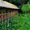 Pathway bridge above the forest