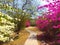 Pathway in Buddha Garden, New Delhi