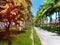 Pathway and bungalows in tropical garden ay the sunny day- abstract travel scene