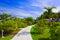 Pathway and bungalows in tropical park