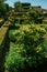 Pathway among bushes in a garden near the Marvao Castle