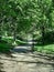 Pathway in Central Park, Manhattan, New York City