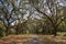 Pathway Charles Towne Landing Charleston SC