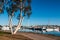 Pathway Through Chula Vista Bayfront Park and Marina